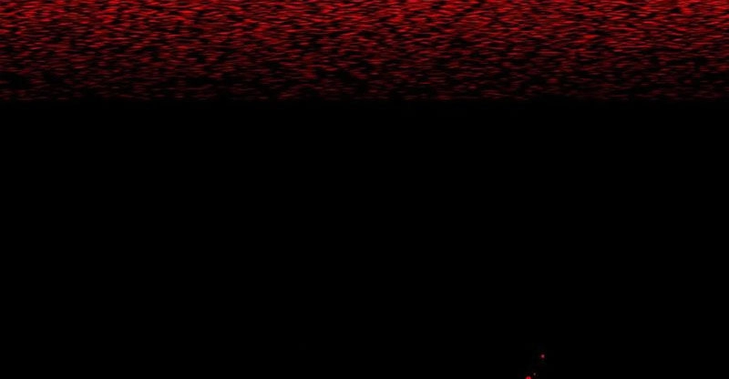 Đấu La Đại Lục Chapter 336.2 - 55