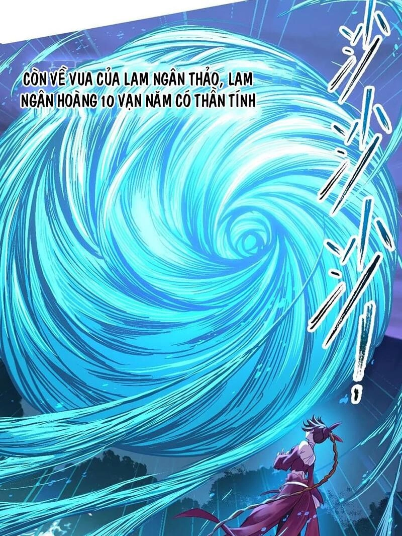 Đấu La Đại Lục Chapter 344.3 - 50