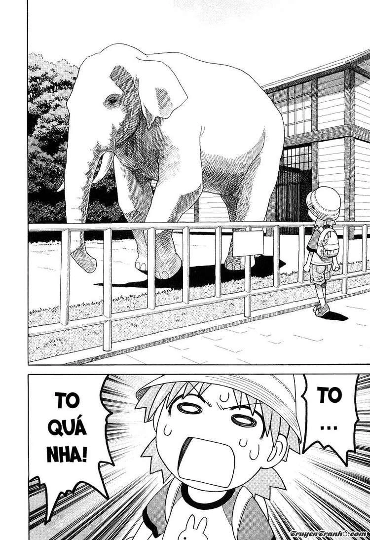 Yotsubato! Chapter 19 - 20
