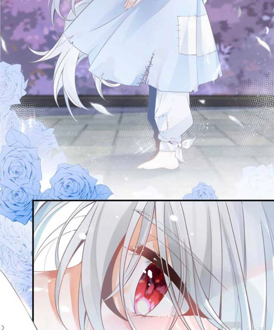 Ngày Nào Đó Trở Thành Công Chúa Tế Phẩm Chapter 1 - 5