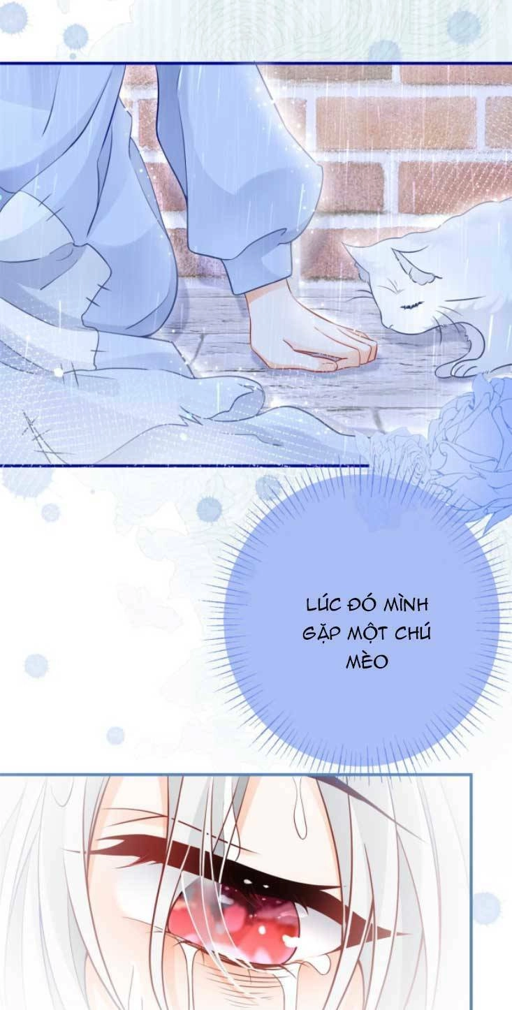 Ngày Nào Đó Trở Thành Công Chúa Tế Phẩm Chapter 6 - 11