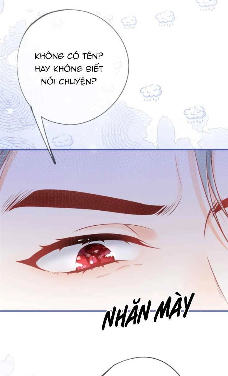 Ngày Nào Đó Trở Thành Công Chúa Tế Phẩm Chapter 6 - 20