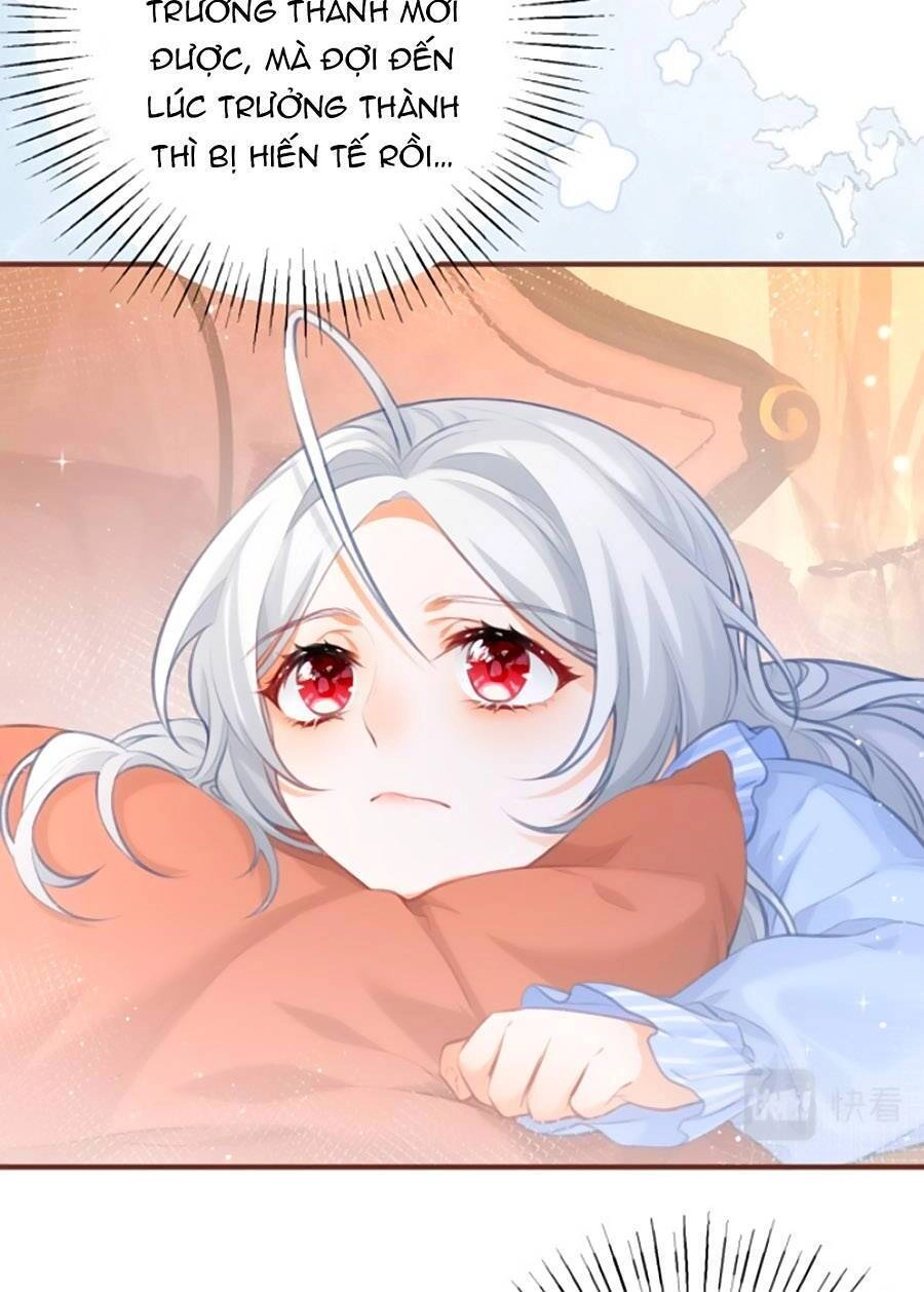 Ngày Nào Đó Trở Thành Công Chúa Tế Phẩm Chapter 15 - 10