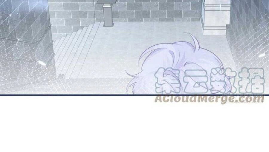 Ngày Nào Đó Trở Thành Công Chúa Tế Phẩm Chapter 67 - 8