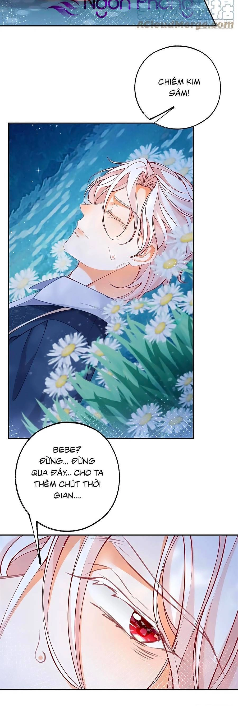 Ngày Nào Đó Trở Thành Công Chúa Tế Phẩm Chapter 124 - 7