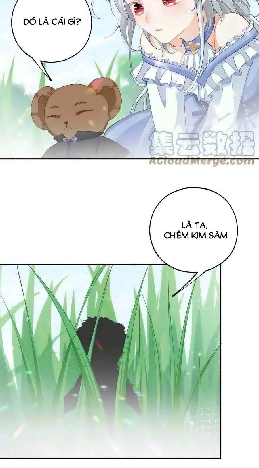 Ngày Nào Đó Trở Thành Công Chúa Tế Phẩm Chapter 137 - 6