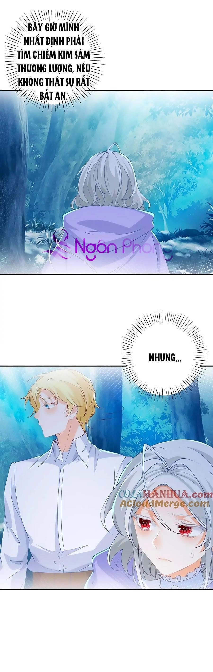 Ngày Nào Đó Trở Thành Công Chúa Tế Phẩm Chapter 153 - 17