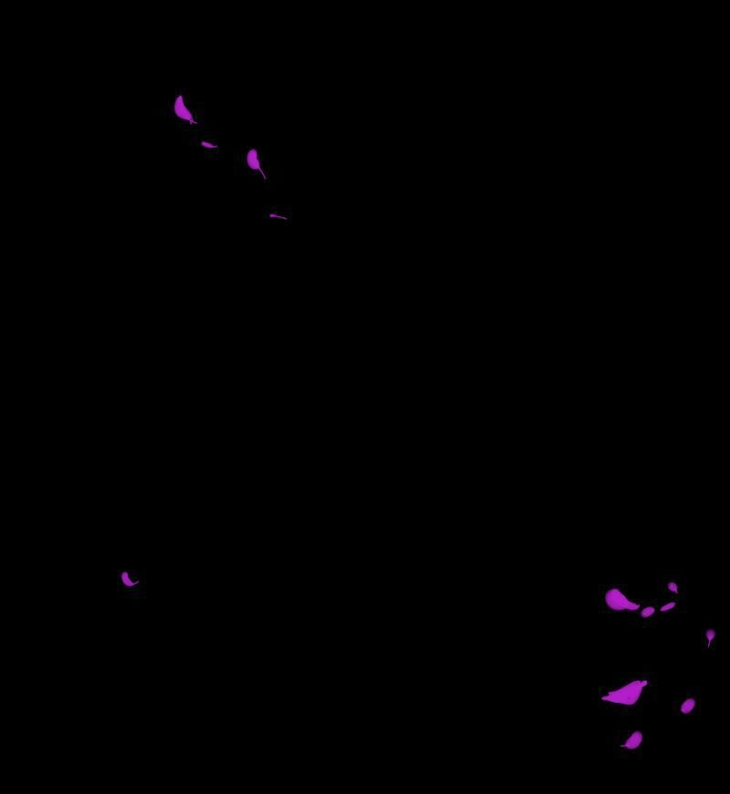 Deor! Chapter 8 - 67