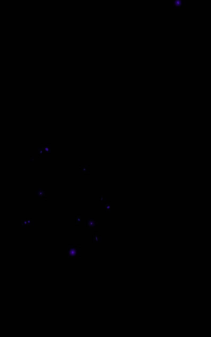 Deor! Chapter 23 - 39