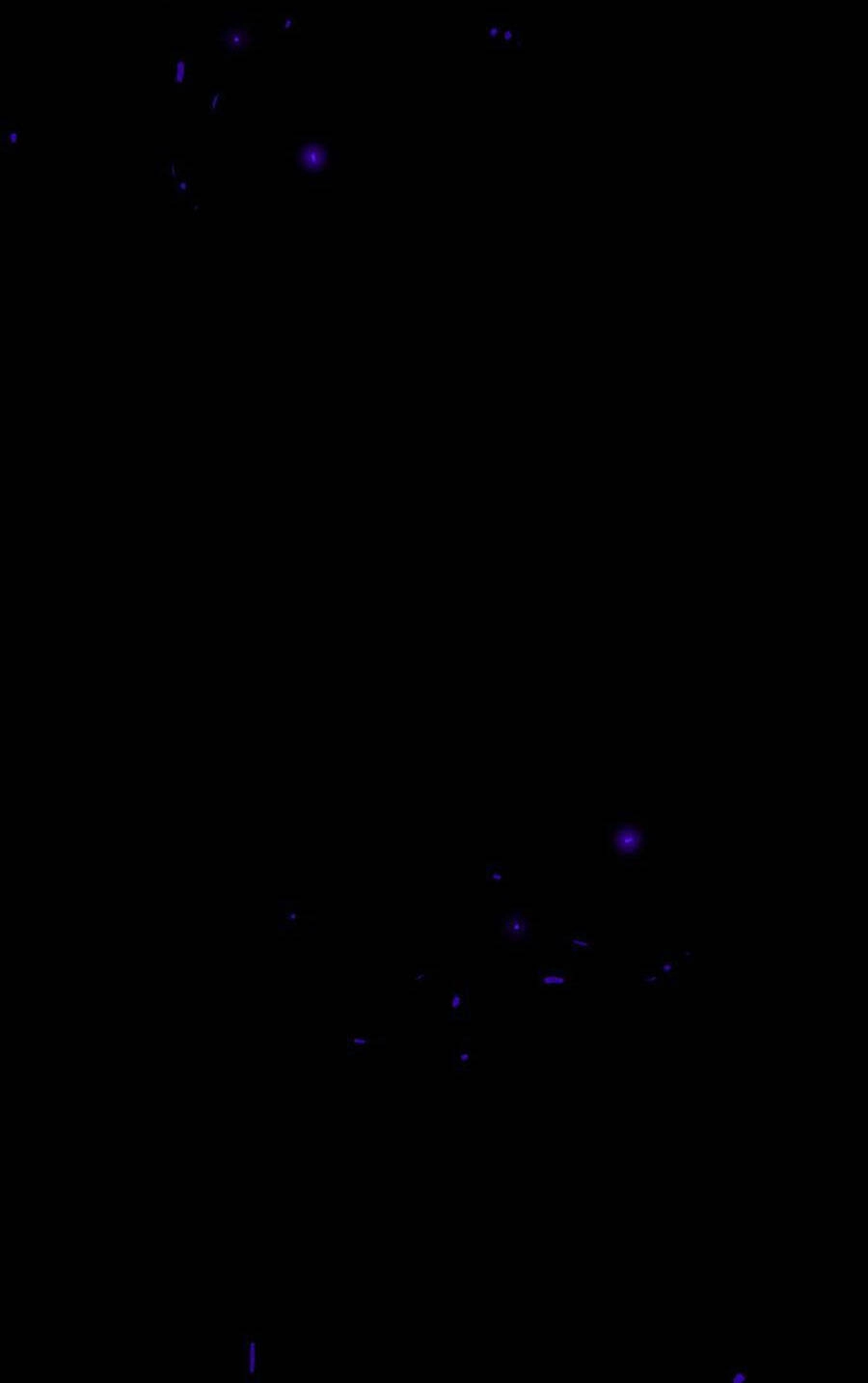 Deor! Chapter 23 - 41