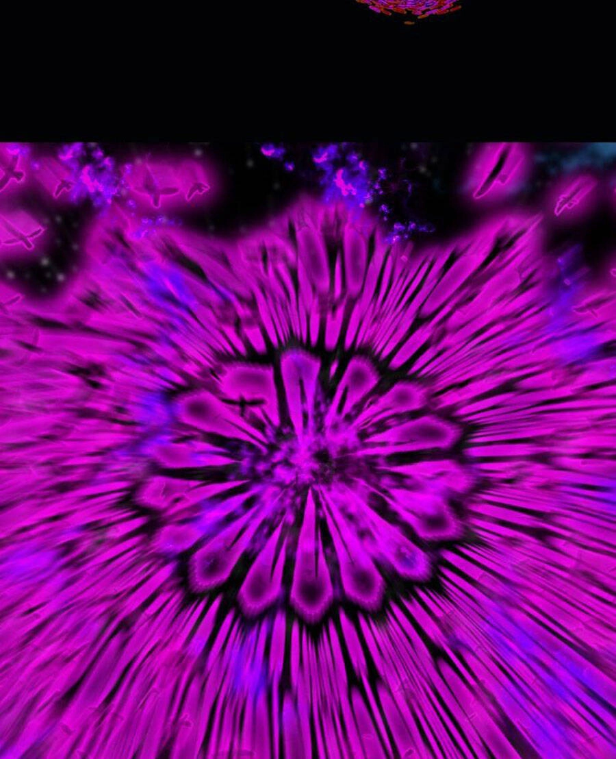 Deor! Chapter 49 - 97