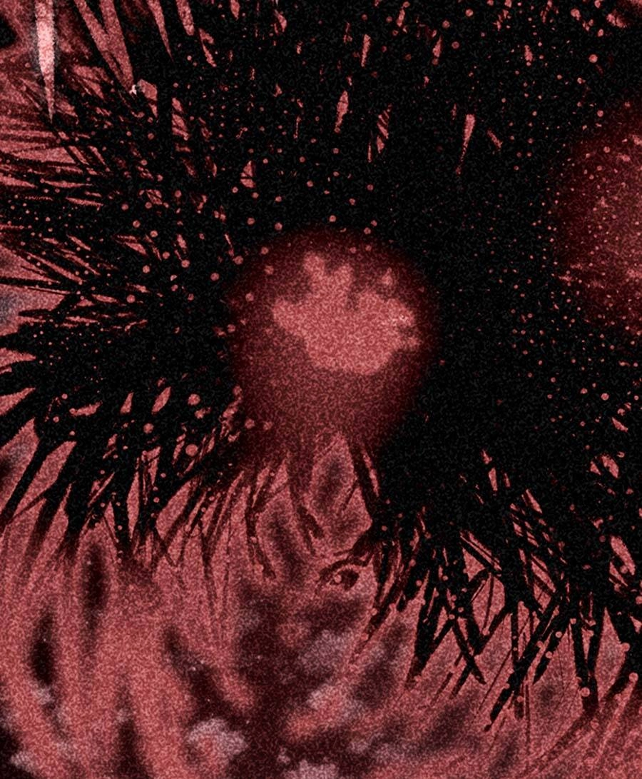 Deor! Chapter 66 - 44