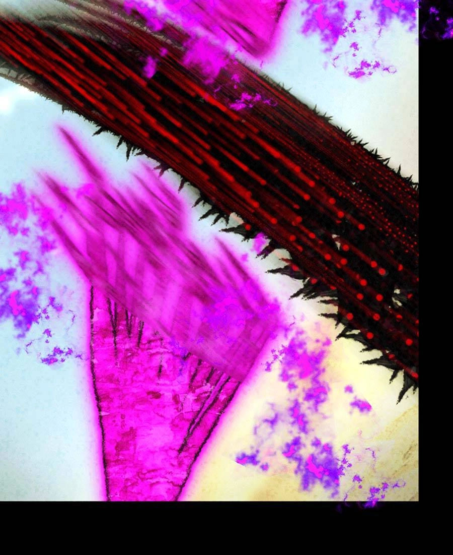 Deor! Chapter 67 - 10