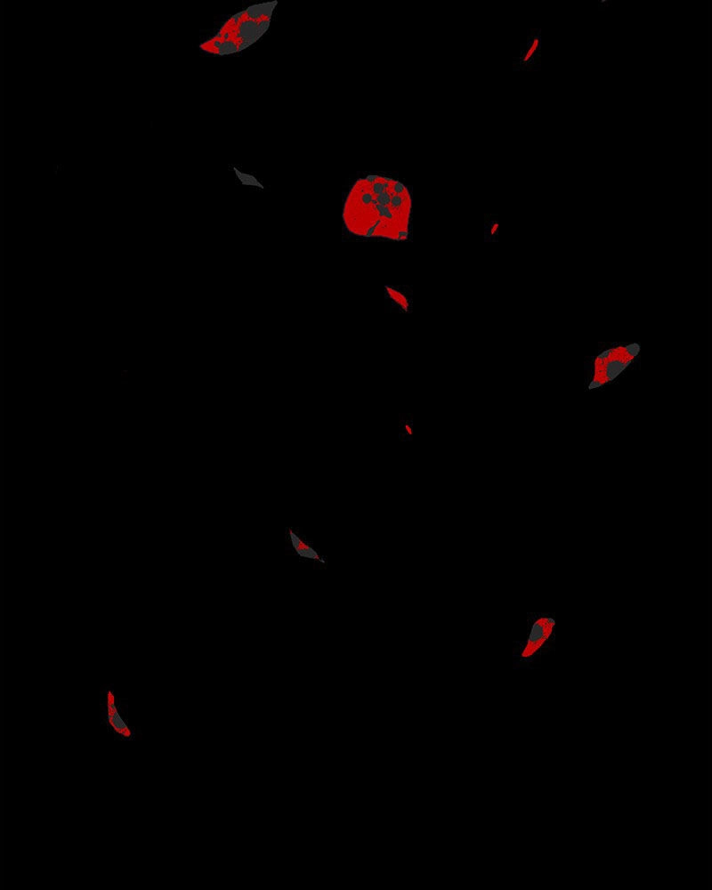 Tử Thần Chapter 1 - 15