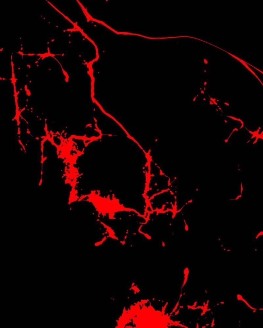 Tử Thần Chapter 35 - 47