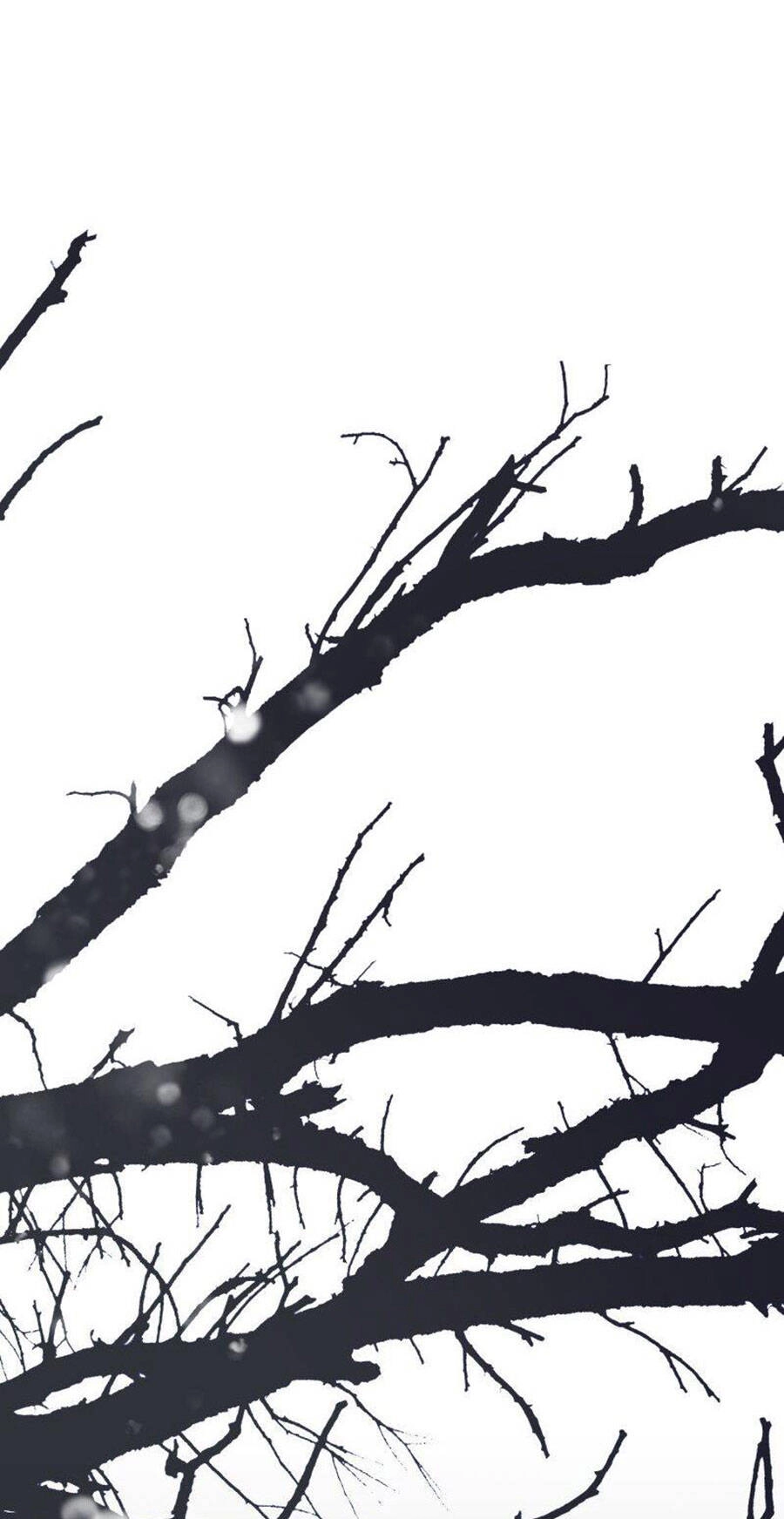 Tử Thần Chapter 46 - 101