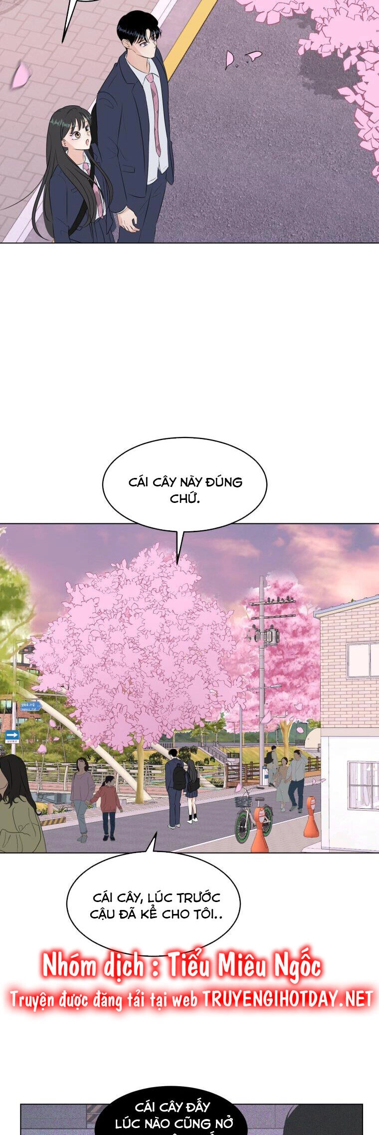 Bí Mật Tình Yêu Tuổi Thanh Xuân Chapter 28 - 3