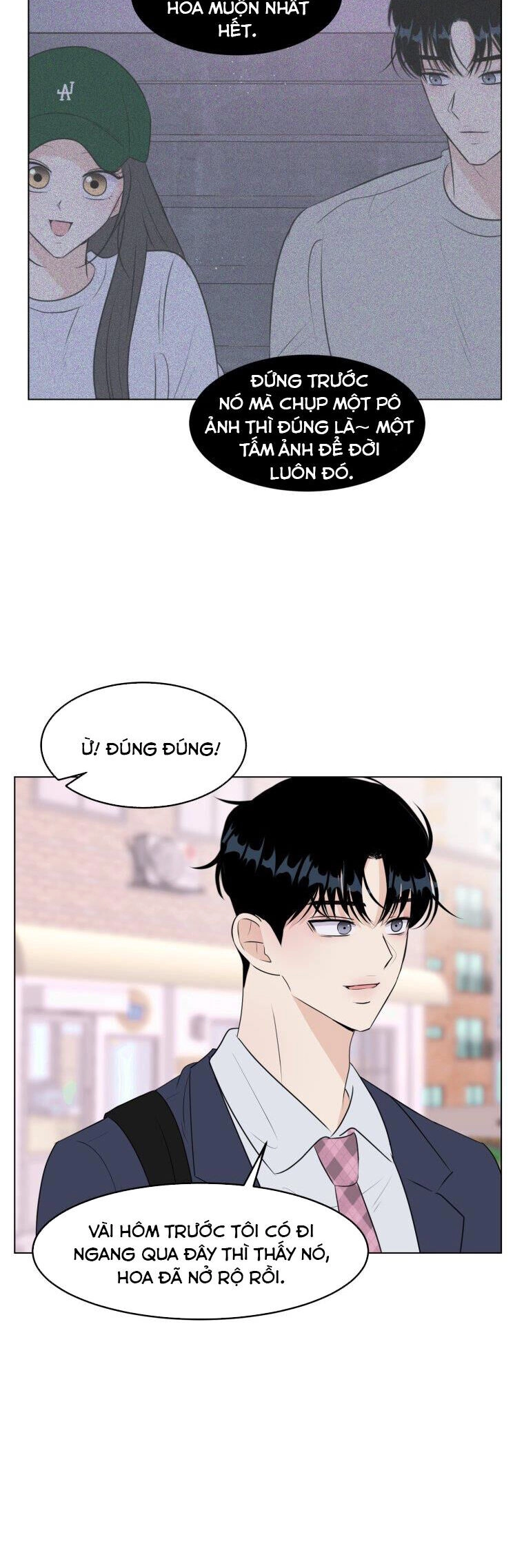 Bí Mật Tình Yêu Tuổi Thanh Xuân Chapter 28 - 4