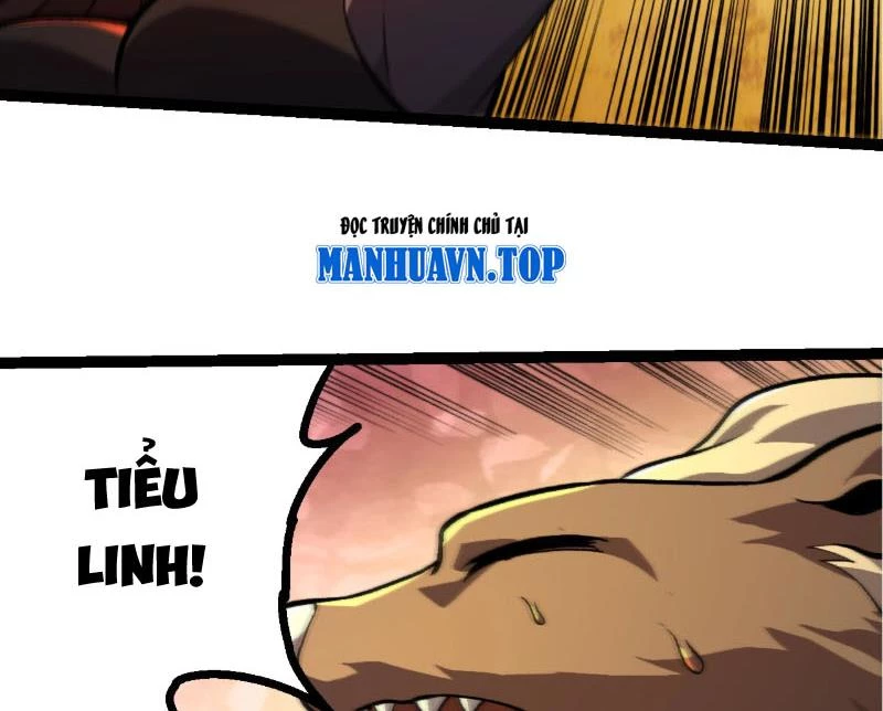 Chuyển Sinh Thành Liễu Đột Biến Chapter 447 - 70