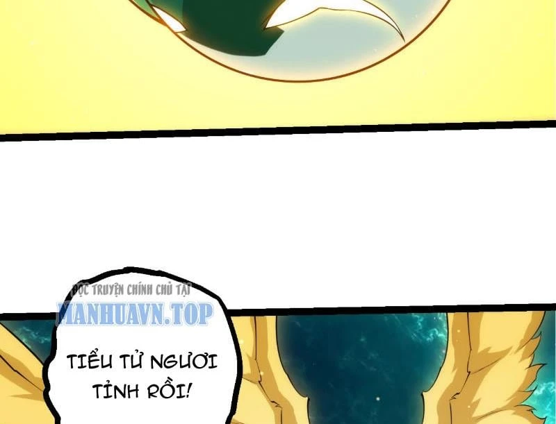 Chuyển Sinh Thành Liễu Đột Biến Chapter 479 - 70