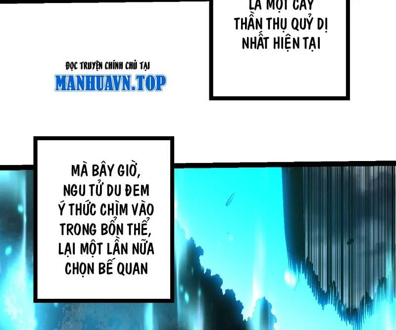 Chuyển Sinh Thành Liễu Đột Biến Chapter 480 - 4