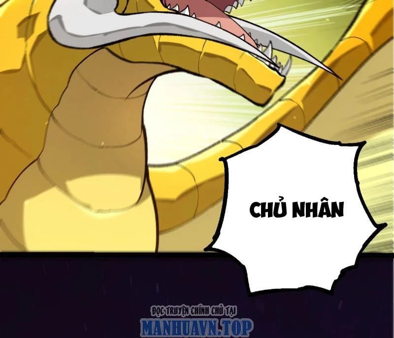 Chuyển Sinh Thành Liễu Đột Biến Chapter 482 - 12