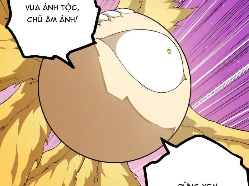 Chuyển Sinh Thành Liễu Đột Biến Chapter 484 - 17