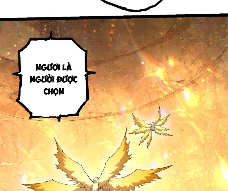 Chuyển Sinh Thành Liễu Đột Biến Chapter 487 - 51