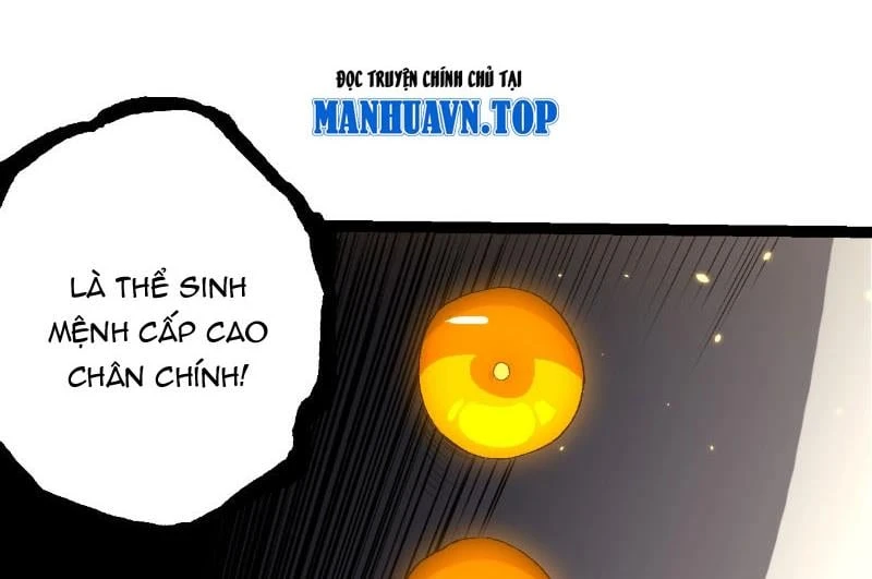 Chuyển Sinh Thành Liễu Đột Biến Chapter 492 - 5