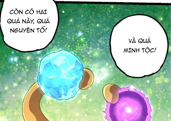 Chuyển Sinh Thành Liễu Đột Biến Chapter 494 - 69