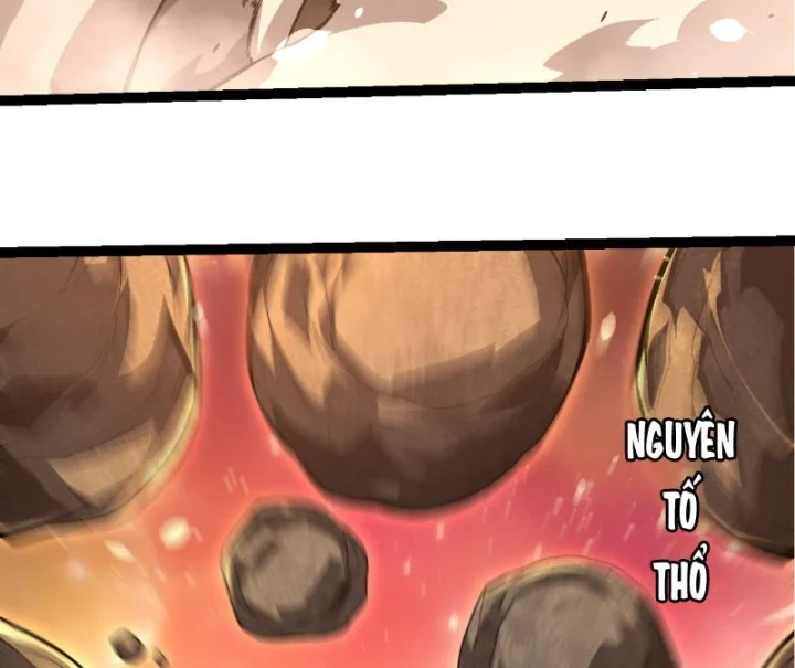 Chuyển Sinh Thành Liễu Đột Biến Chapter 506 - 4