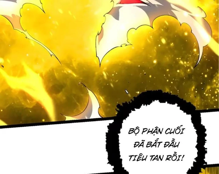 Chuyển Sinh Thành Liễu Đột Biến Chapter 513 - 5