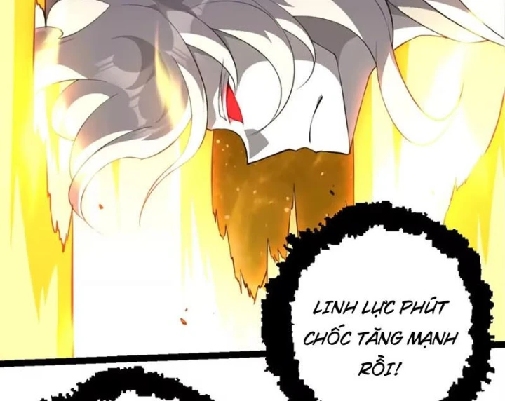 Chuyển Sinh Thành Liễu Đột Biến Chapter 513 - 13