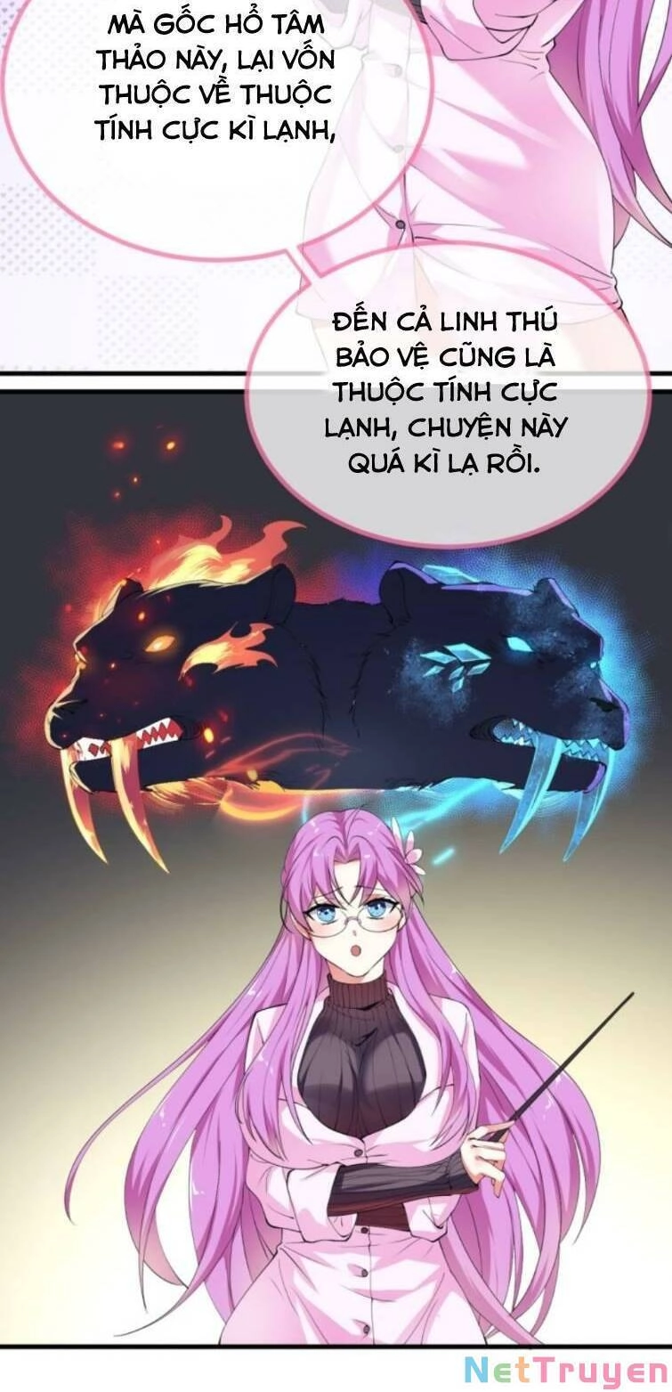 Thiên Đạo Nguyền Rủa Ư? Ta Nghịch Thiên!! Chapter 20 - 13