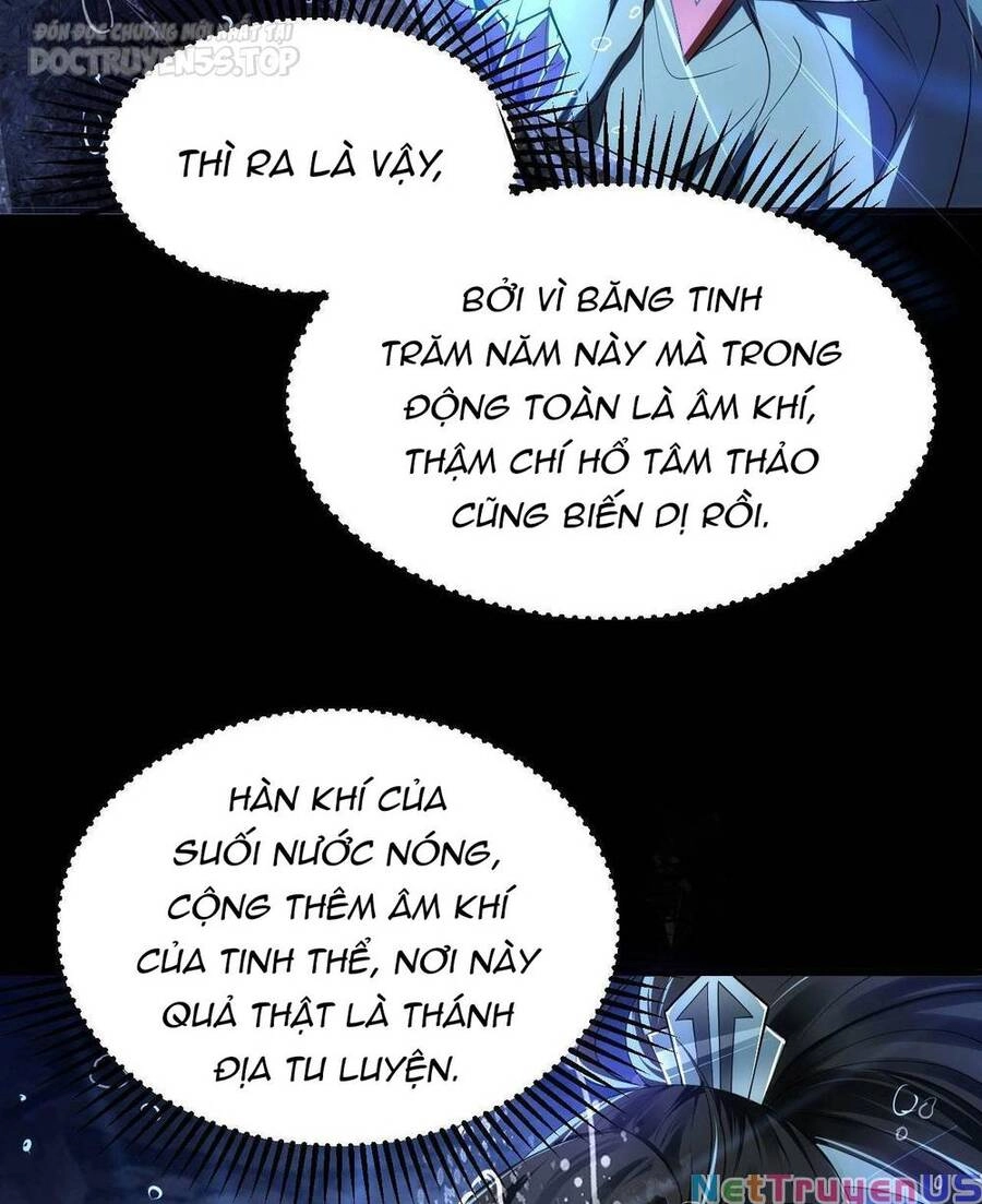 Thiên Đạo Nguyền Rủa Ư? Ta Nghịch Thiên!! Chapter 21 - 37