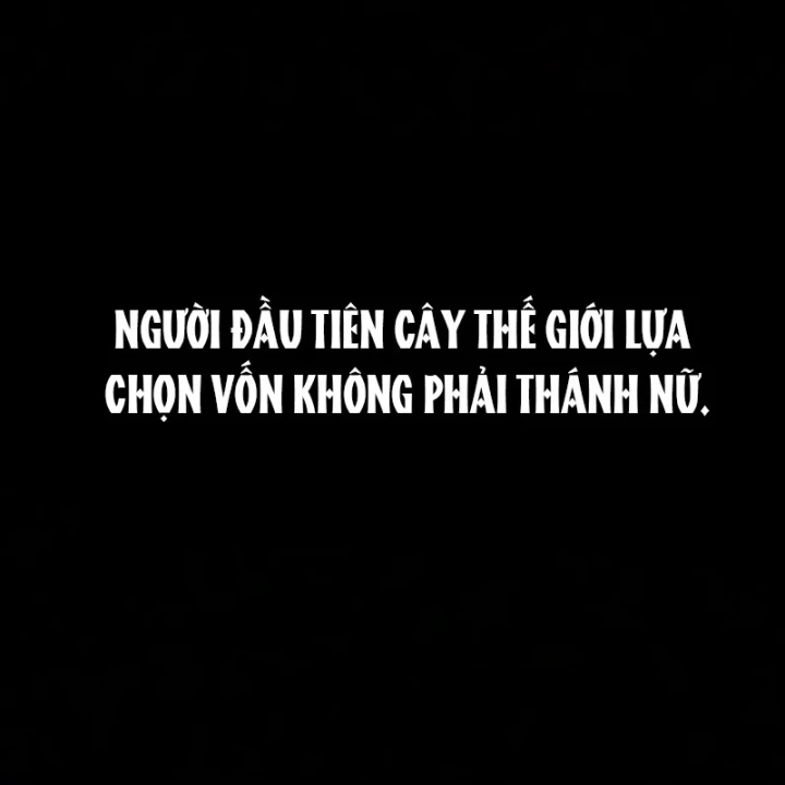 Người Chơi Thiết Thụ Chapter 95 - 13