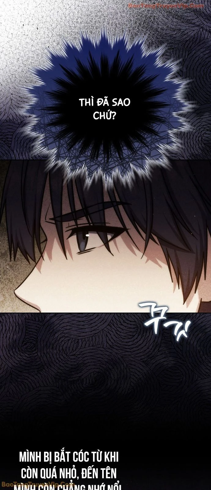 Sát Thủ Tái Sinh Thành Một Kiếm Sĩ Thiên Tài Chapter 78 - 48