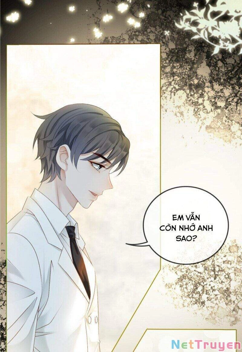 Cô Ấy Ngày Nào Cũng Lên Hot Search! Chapter 4 - 12