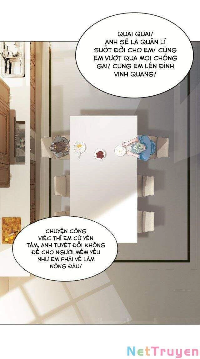 Cô Ấy Ngày Nào Cũng Lên Hot Search! Chapter 8 - 24