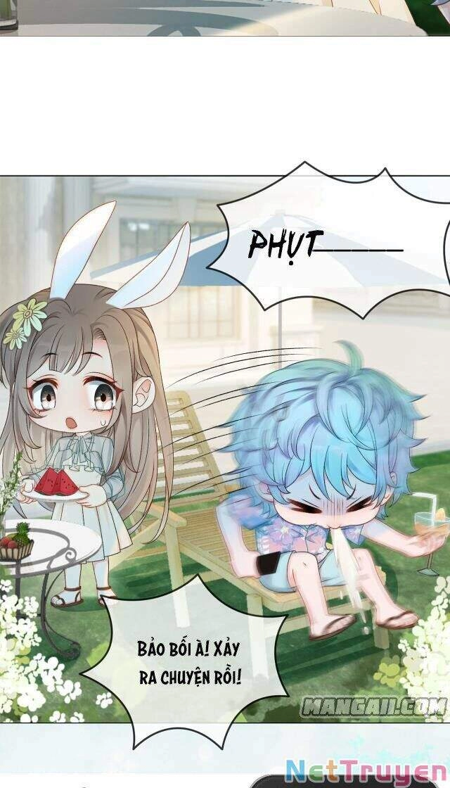 Cô Ấy Ngày Nào Cũng Lên Hot Search! Chapter 11 - 21