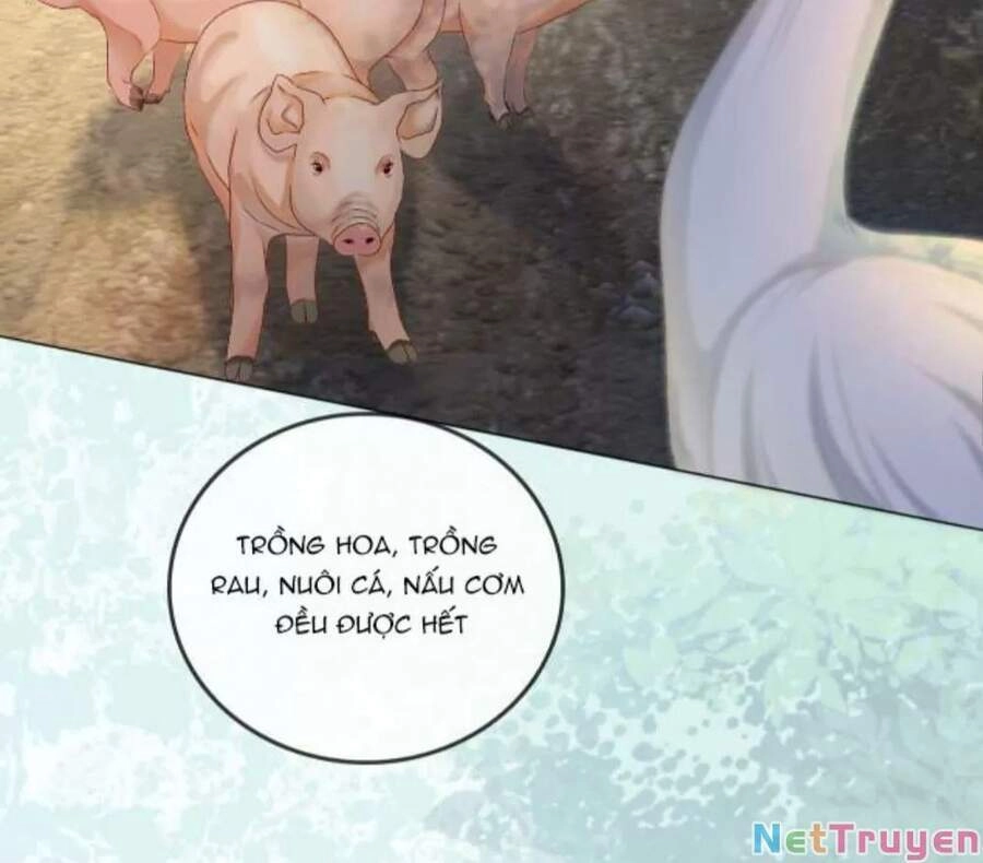 Cô Ấy Ngày Nào Cũng Lên Hot Search! Chapter 13 - 16