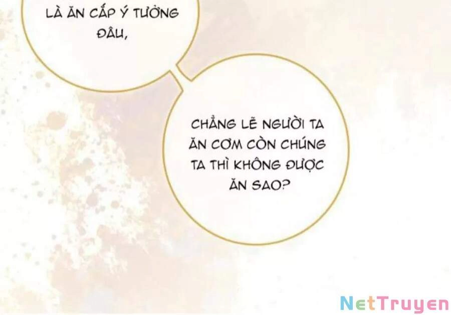 Cô Ấy Ngày Nào Cũng Lên Hot Search! Chapter 13 - 29