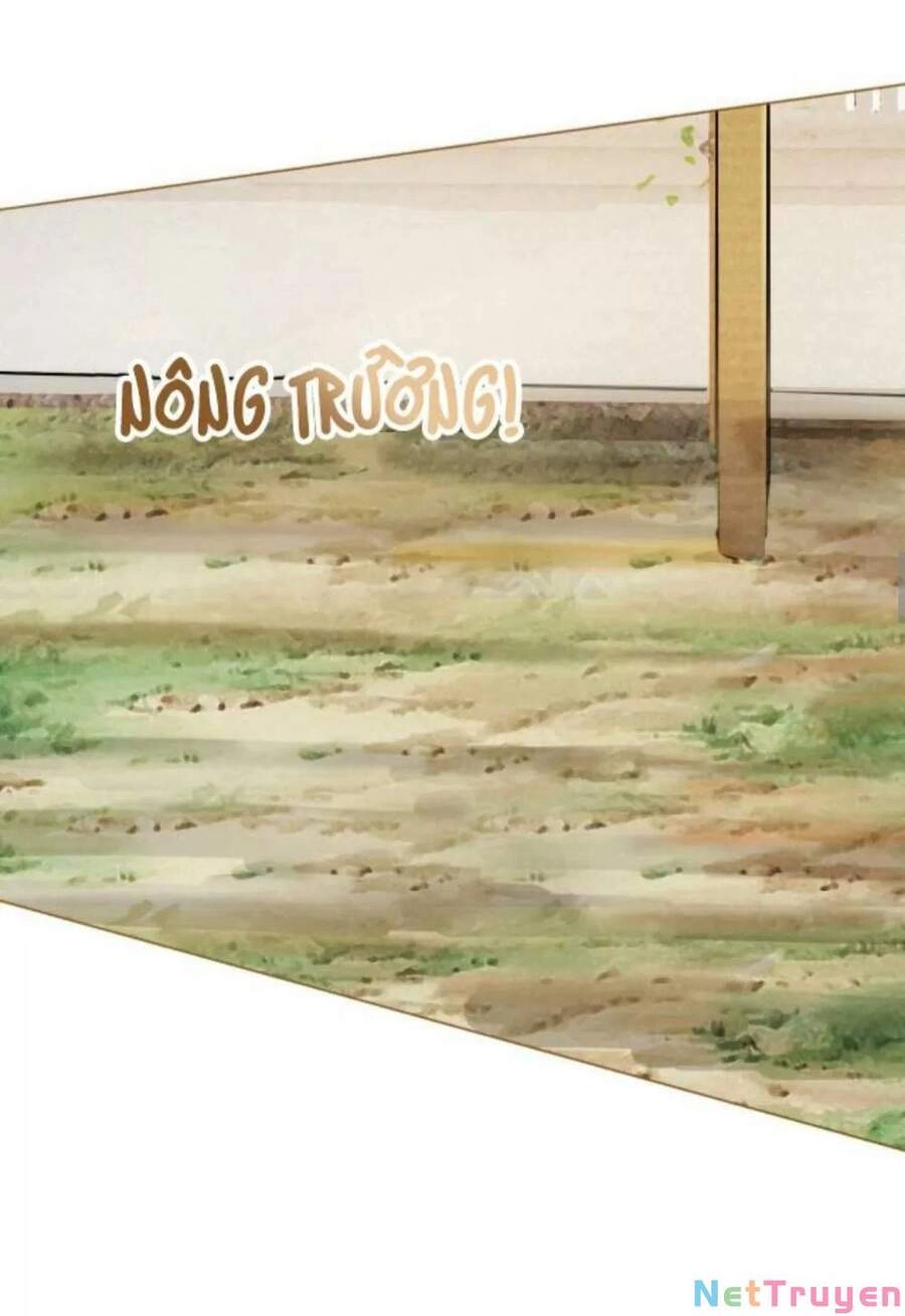 Cô Ấy Ngày Nào Cũng Lên Hot Search! Chapter 14 - 22