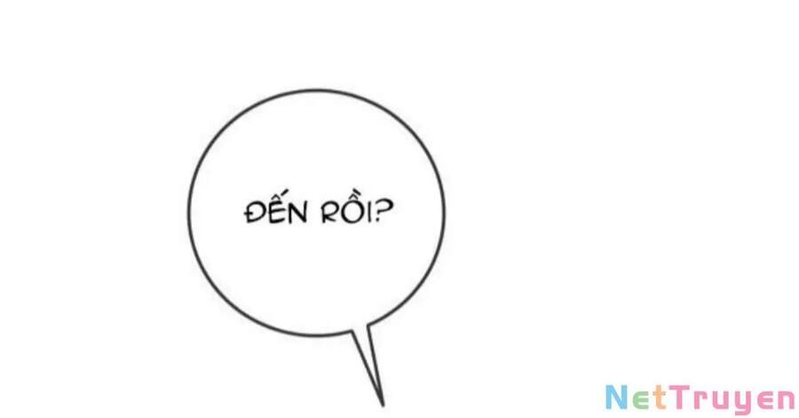 Cô Ấy Ngày Nào Cũng Lên Hot Search! Chapter 14 - 29