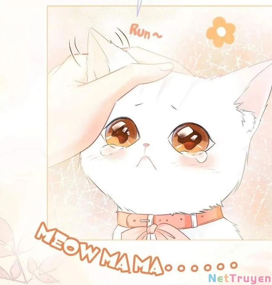 Cô Ấy Ngày Nào Cũng Lên Hot Search! Chapter 16 - 6