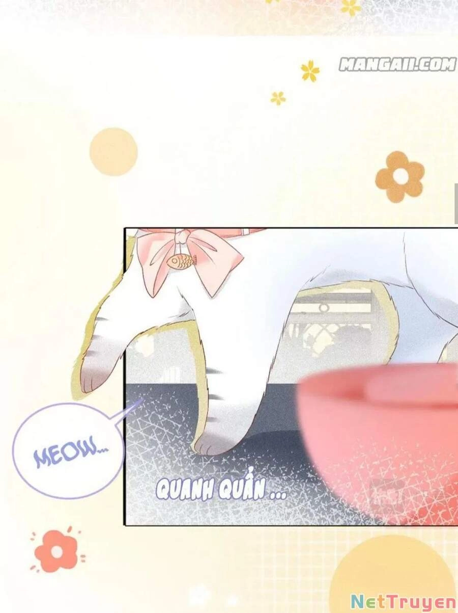 Cô Ấy Ngày Nào Cũng Lên Hot Search! Chapter 16 - 20