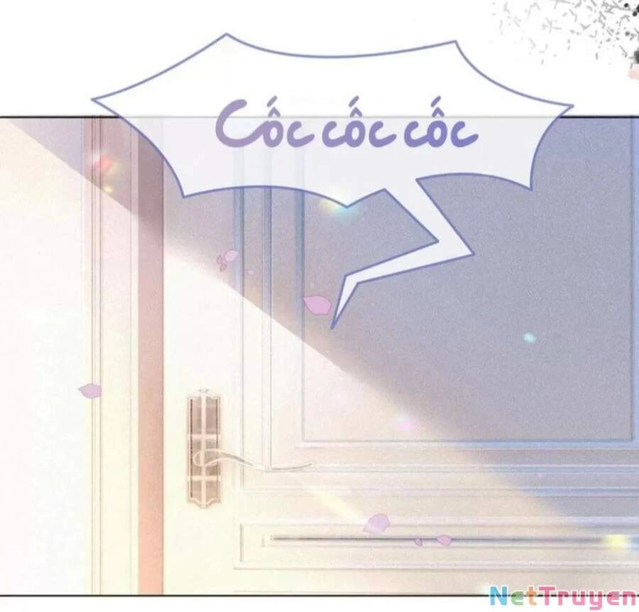 Cô Ấy Ngày Nào Cũng Lên Hot Search! Chapter 17 - 11