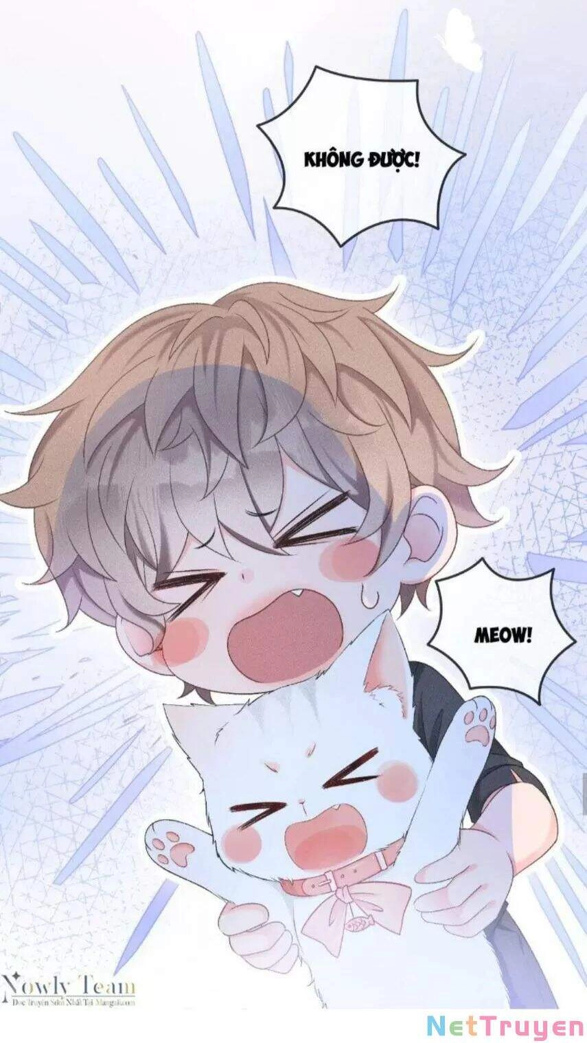 Cô Ấy Ngày Nào Cũng Lên Hot Search! Chapter 17 - 28