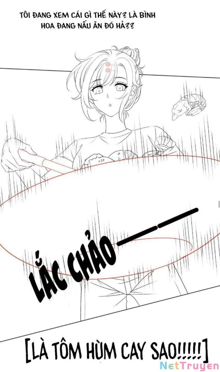 Cô Ấy Ngày Nào Cũng Lên Hot Search! Chapter 17 - 30