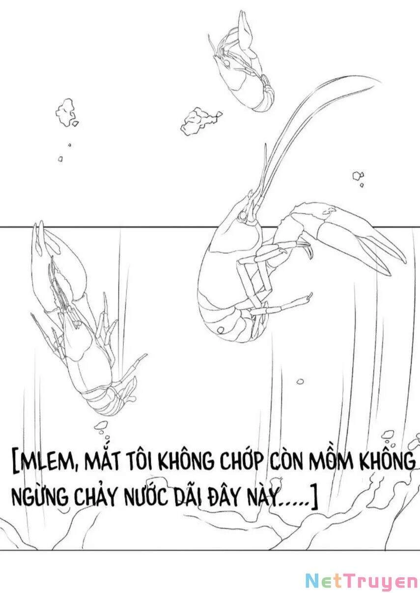 Cô Ấy Ngày Nào Cũng Lên Hot Search! Chapter 17 - 32